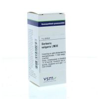 VSM Berberis vulgaris LM30