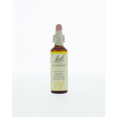 Foto van Hornbeam / haagbeuk