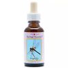 Afbeelding van Animal Essences Dragonfly (libelle)