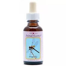 Foto van Animal Essences Dragonfly (libelle)