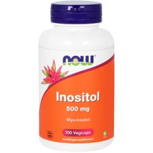 Foto van NOW Inositol 500 mg