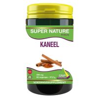 SNP Kaneel 500 mg