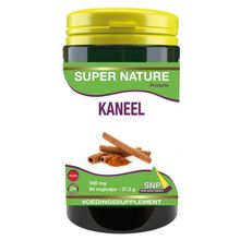 Foto van SNP Kaneel 500 mg