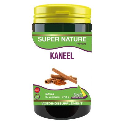 SNP Kaneel 500 mg