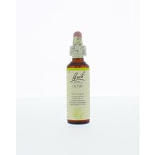 Foto van Olive / olijf