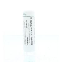 Homeoden Heel Hydrastis canadensis D6
