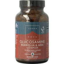 Foto van Terranova Glucosamine boswellia & MSM complex