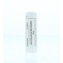 Foto van Homeoden Heel Phytolacca decandra D12