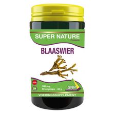 Foto van SNP Blaaswier 500 mg puur
