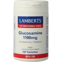 Foto van Lamberts Glucosamine 1100