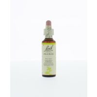 Wild rose / hondsroos