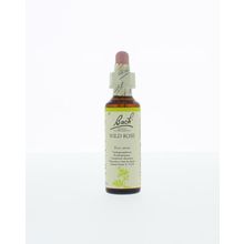 Foto van Wild rose / hondsroos