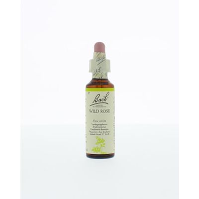 Foto van Wild rose / hondsroos