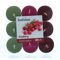 Bolsius Geurtheelicht multi colour brick 18 cranberry