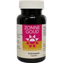 Foto van Zonnegoud Echinacea simplex