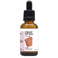 Opus Chaga 21 bio