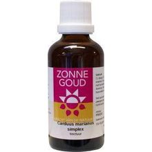 Foto van Carduus marianus simplex