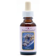 Foto van Animal Essences Alligator