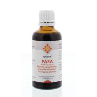Epigenar Support PARA