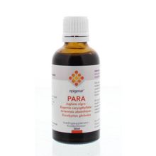 Foto van Epigenar Support PARA