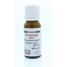 Foto van DNH Bormenvegat ZK-V