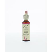 Foto van Larch / lariks