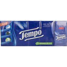 Foto van Tempo Regular 10x10stuks