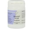 Afbeelding van Ayurveda Shijalit plus