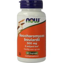 Foto van NOW Saccaromyces boulardii 500mg