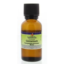 Foto van Volatile Geranium maroc