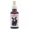 Afbeelding van Animal Essences Bear (beer)