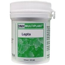 Foto van DNH Lepta multiplant