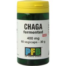 Foto van SNP Chaga fermented 400 mg puur