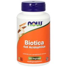 Foto van NOW Biotica 4 x 6 acidophilus