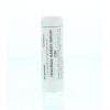 Afbeelding van Homeoden Heel Teucrium marum verum D30