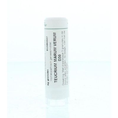 Homeoden Heel Teucrium marum verum D30 6 gram - Homeopathische geneesmiddelen