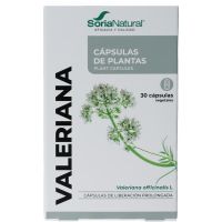 Soria Valeriana XXI 34-S