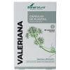 Afbeelding van Soria Valeriana XXI 34-S