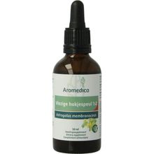 Aromedica vlezige hokjespeul 1:2 Foto van Aromedica vlezige hokjespeul 1:2