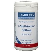 Foto van Lamberts L-Methionine 500 mg