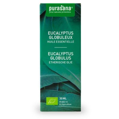 Purasana Eucalyptus globulus