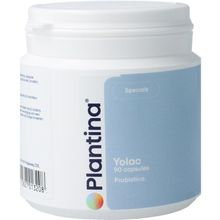 Foto van Plantina Yolac