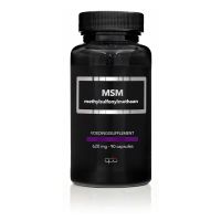 Apb Holland MSM 620 mg puur