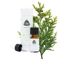 CHI Thuja wild