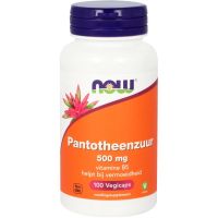 NOW Pantotheenzuur 500 mg (B5)