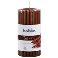 Bolsius Stompkaars geur 120/58 true scents oud wood