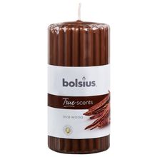 Foto van Bolsius Stompkaars geur 120/58 true scents oud wood