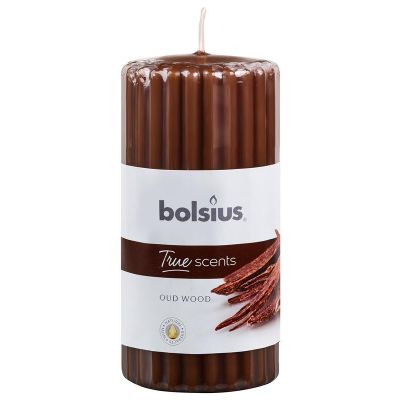 Bolsius Stompkaars geur 120/58 true scents oud wood