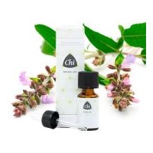 Foto van CHI Salie cultivar