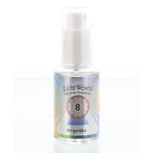 Foto van Angelika tinctuur 8